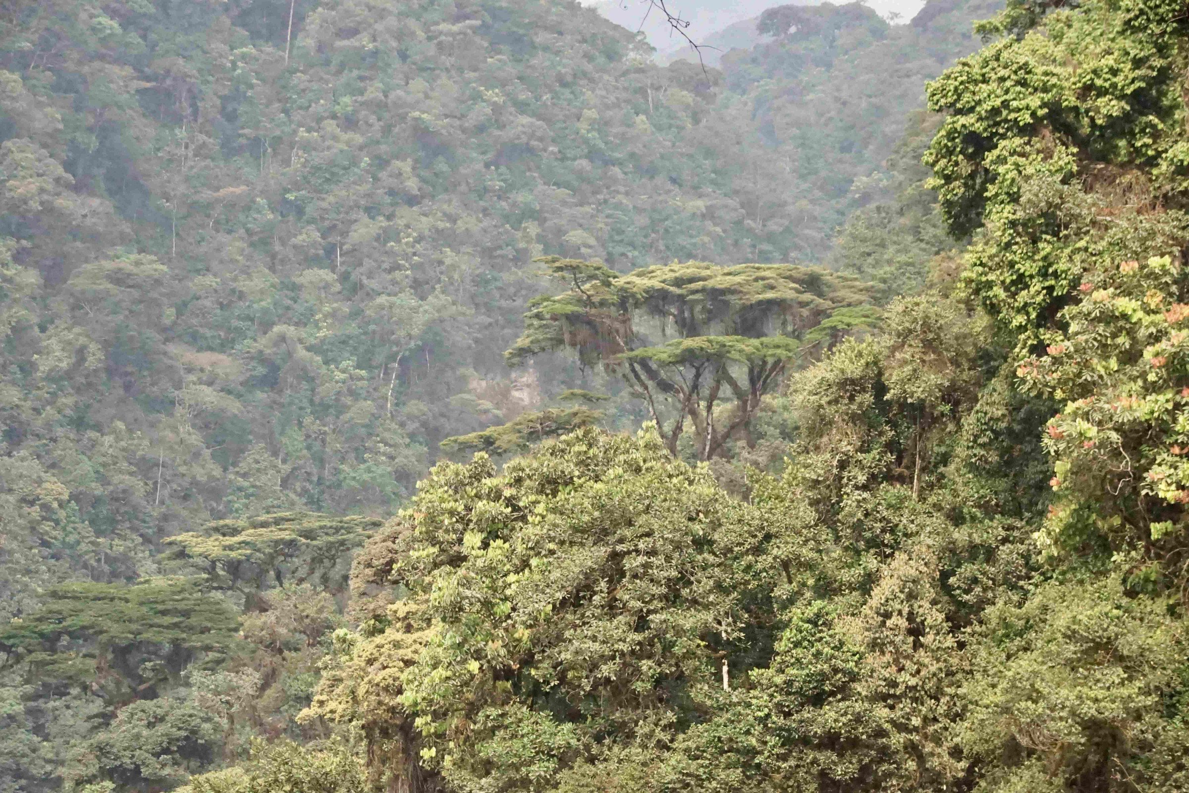 rwanda-uitzicht