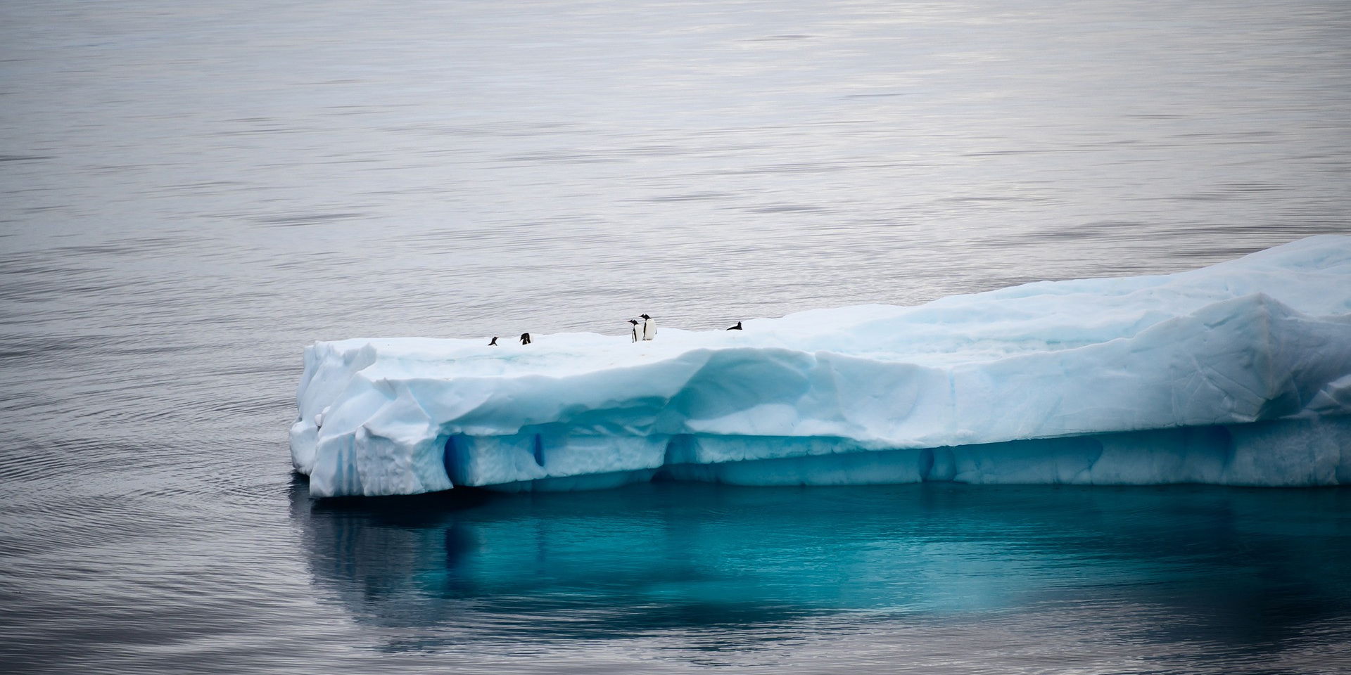 antarctica-ijsberg-pinguins