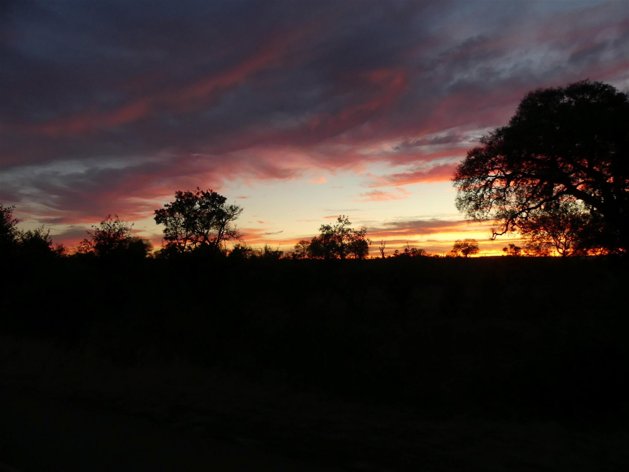 zuid-afrika-wandelsafari-in-het-krugerpark-zonsondergang