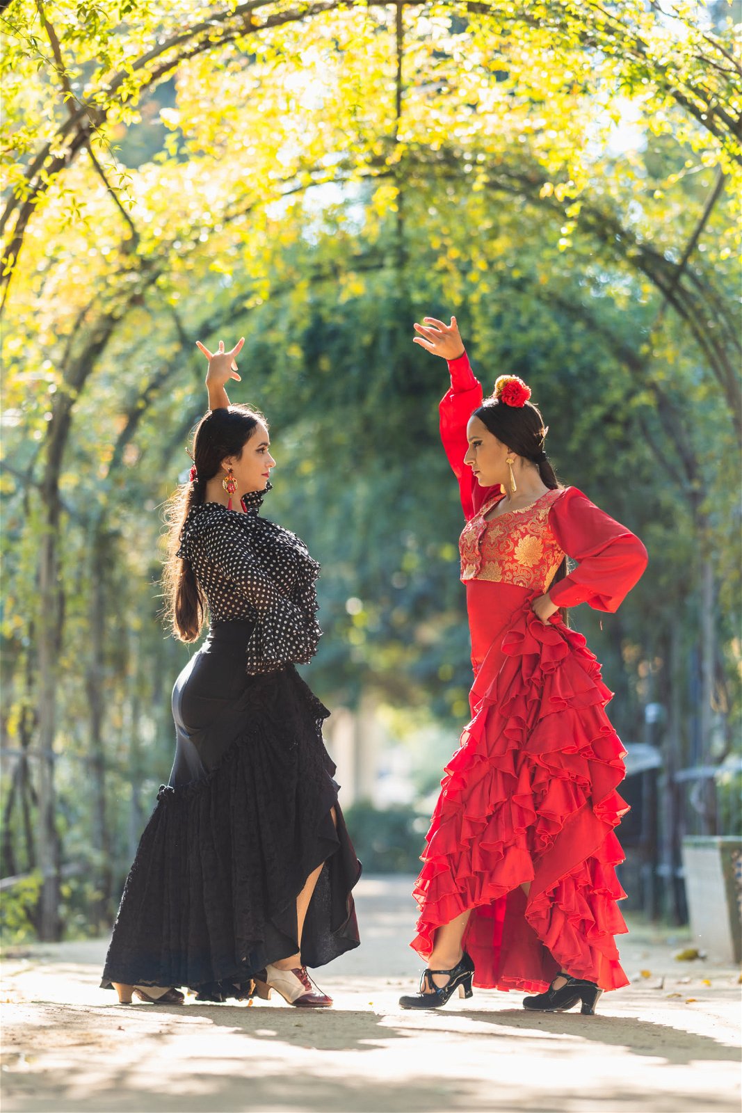 Flamenco - Dans