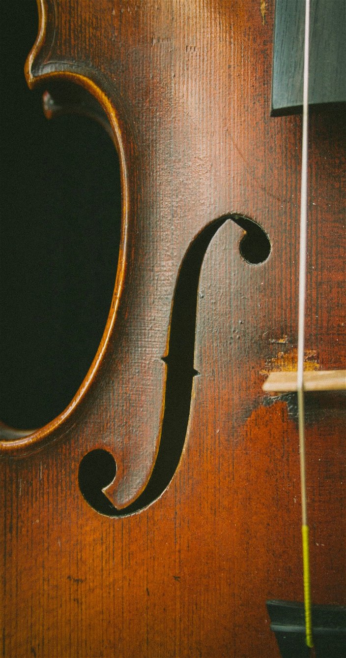 Viool - Muziek