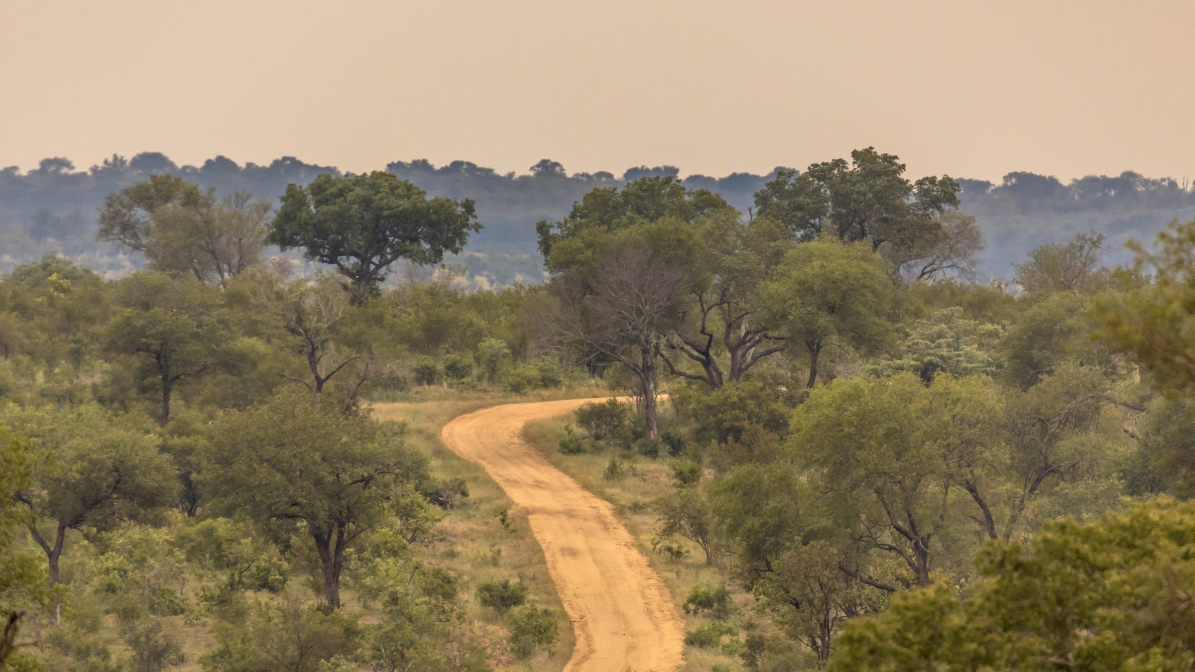 Kruger - Zuid-Afrika - Nationale Parken