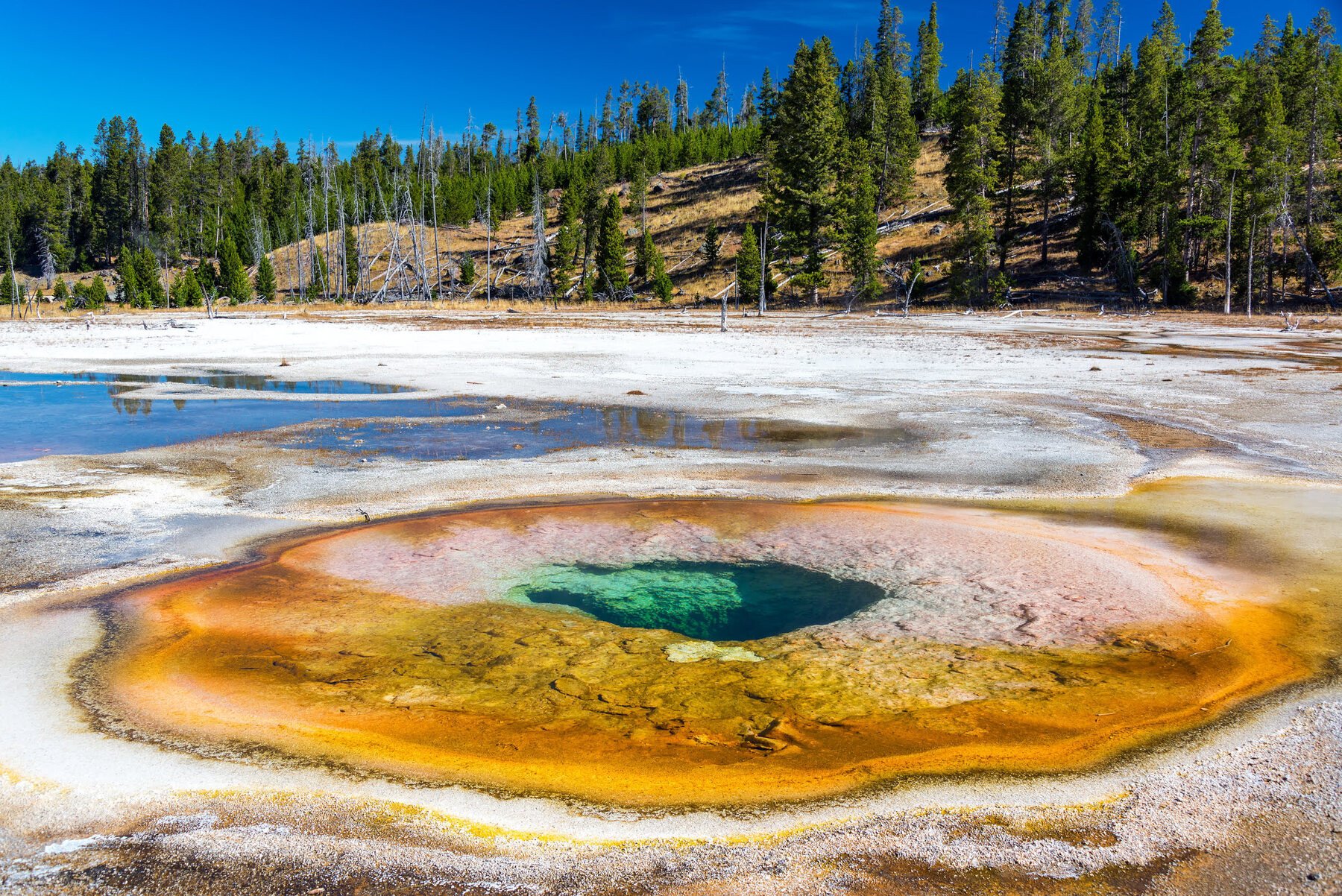 Yellowstone NP - Amerika - Nationale Parken