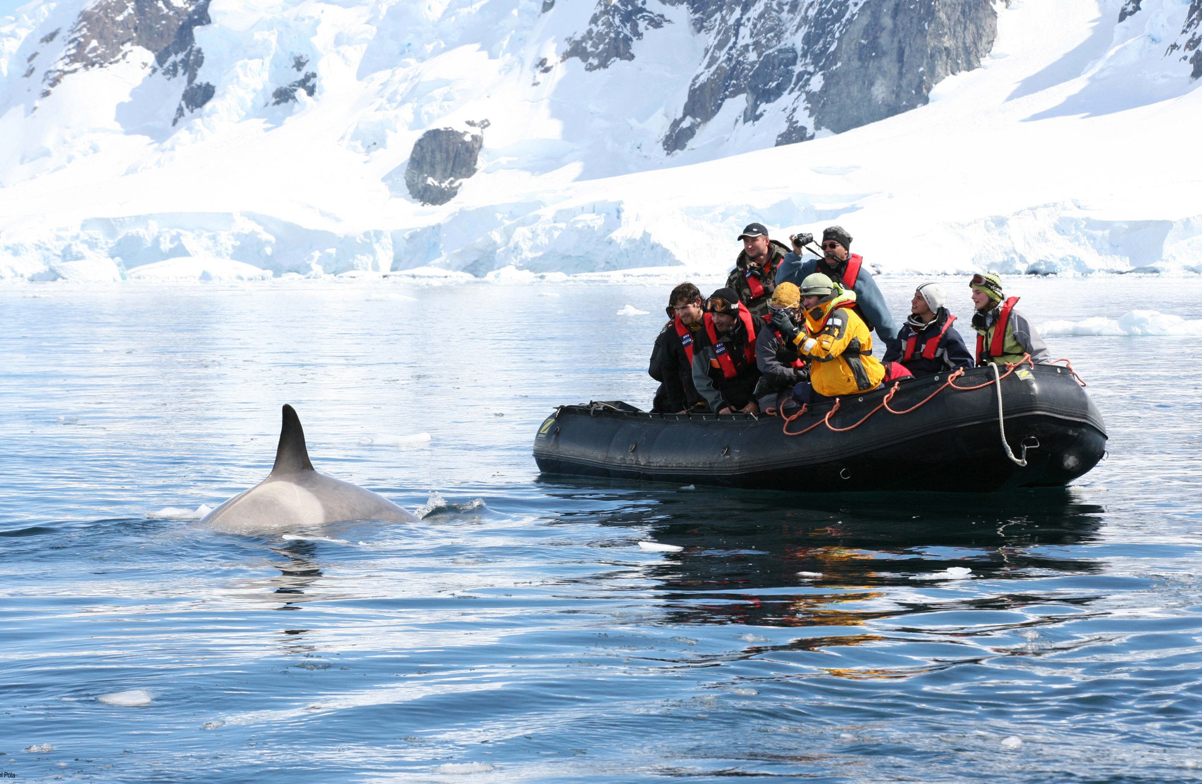 orca expeditie