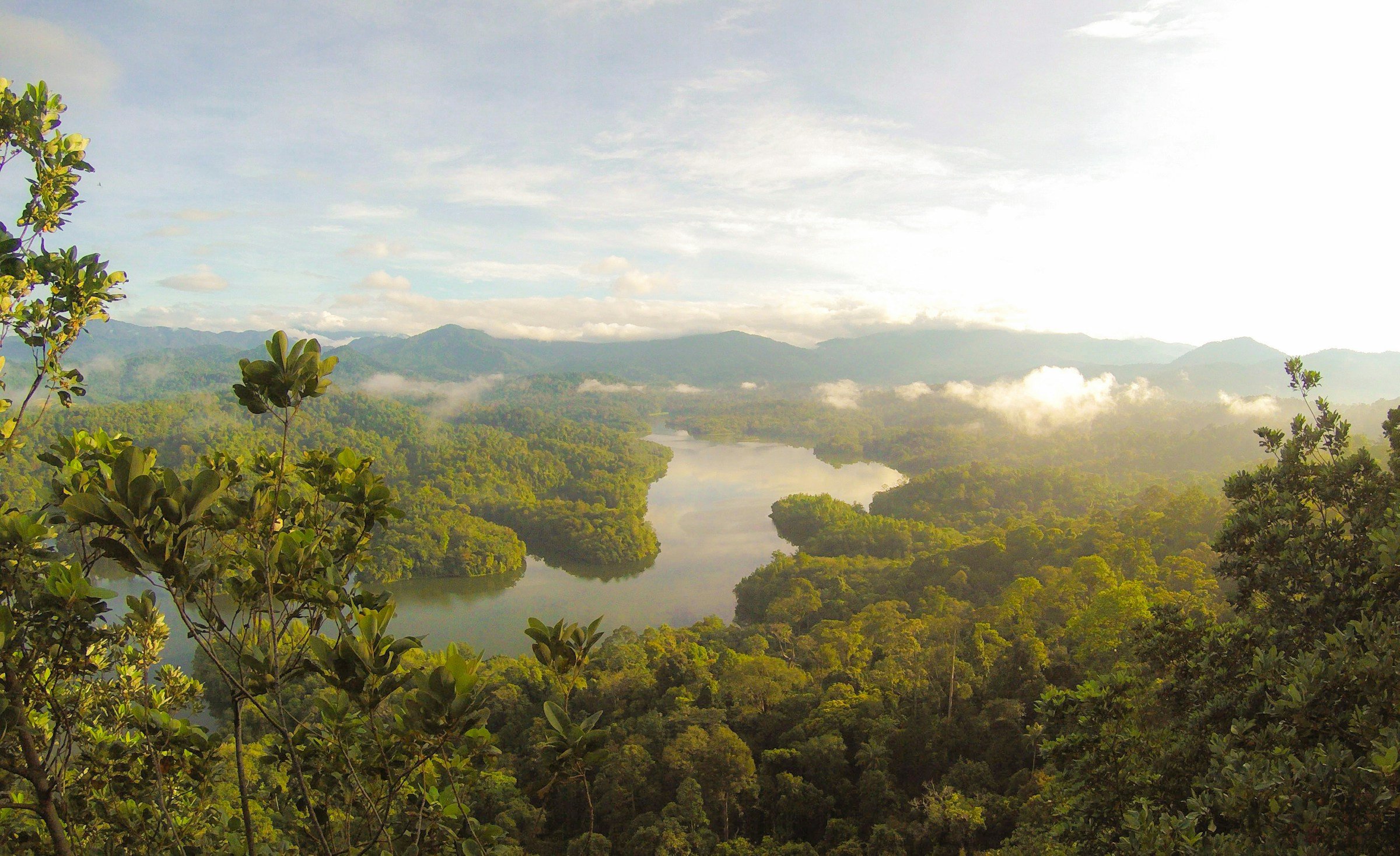 Regenwoud - Rivier - Maleisie