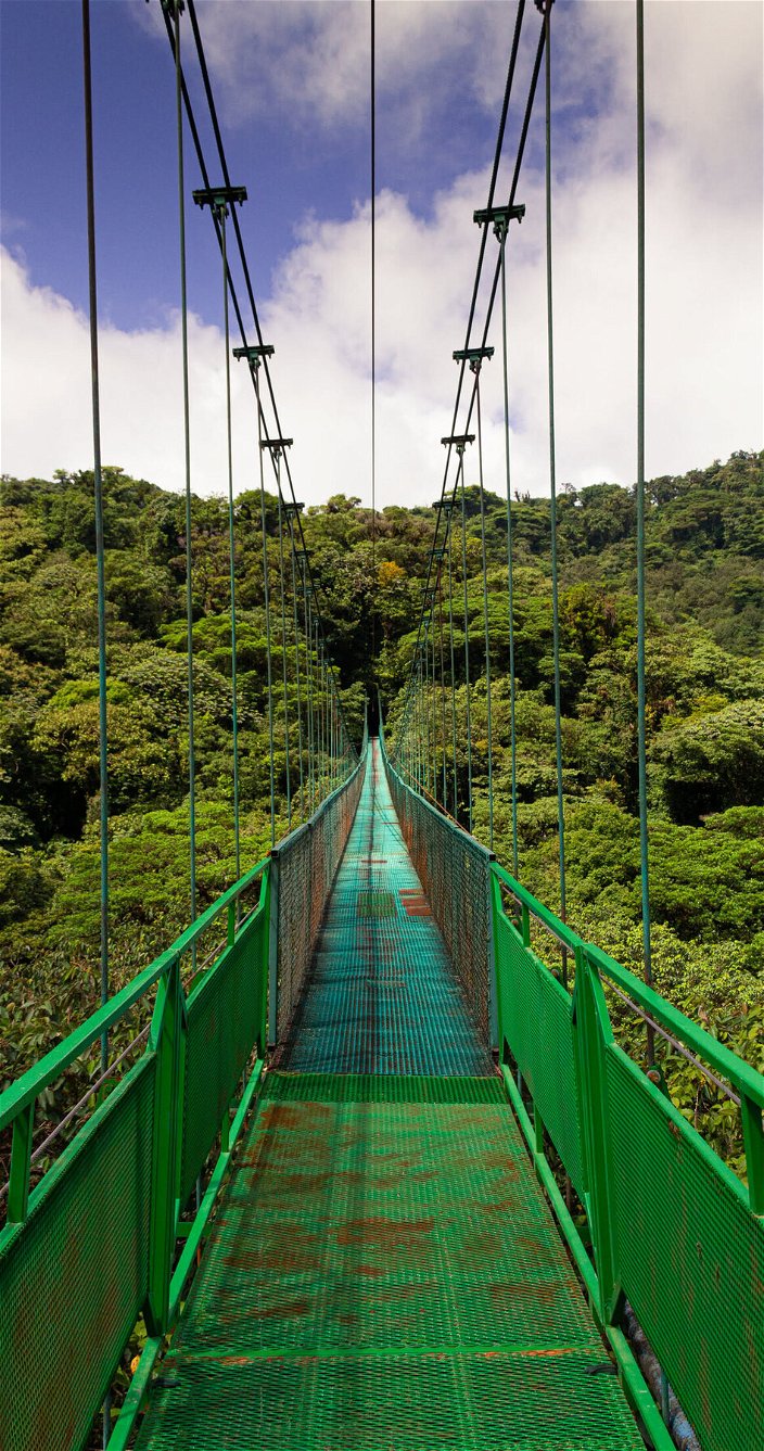Monteverde - Costa Rica - Hangbrug - Regenwoud