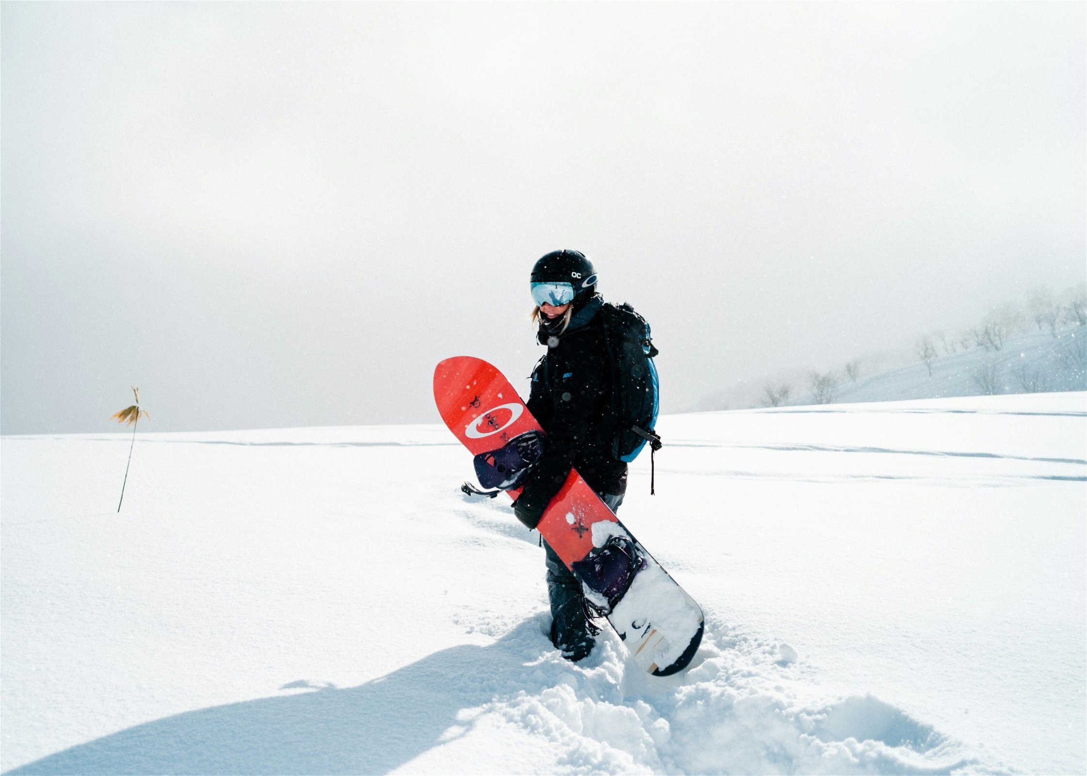snowboard wintersport